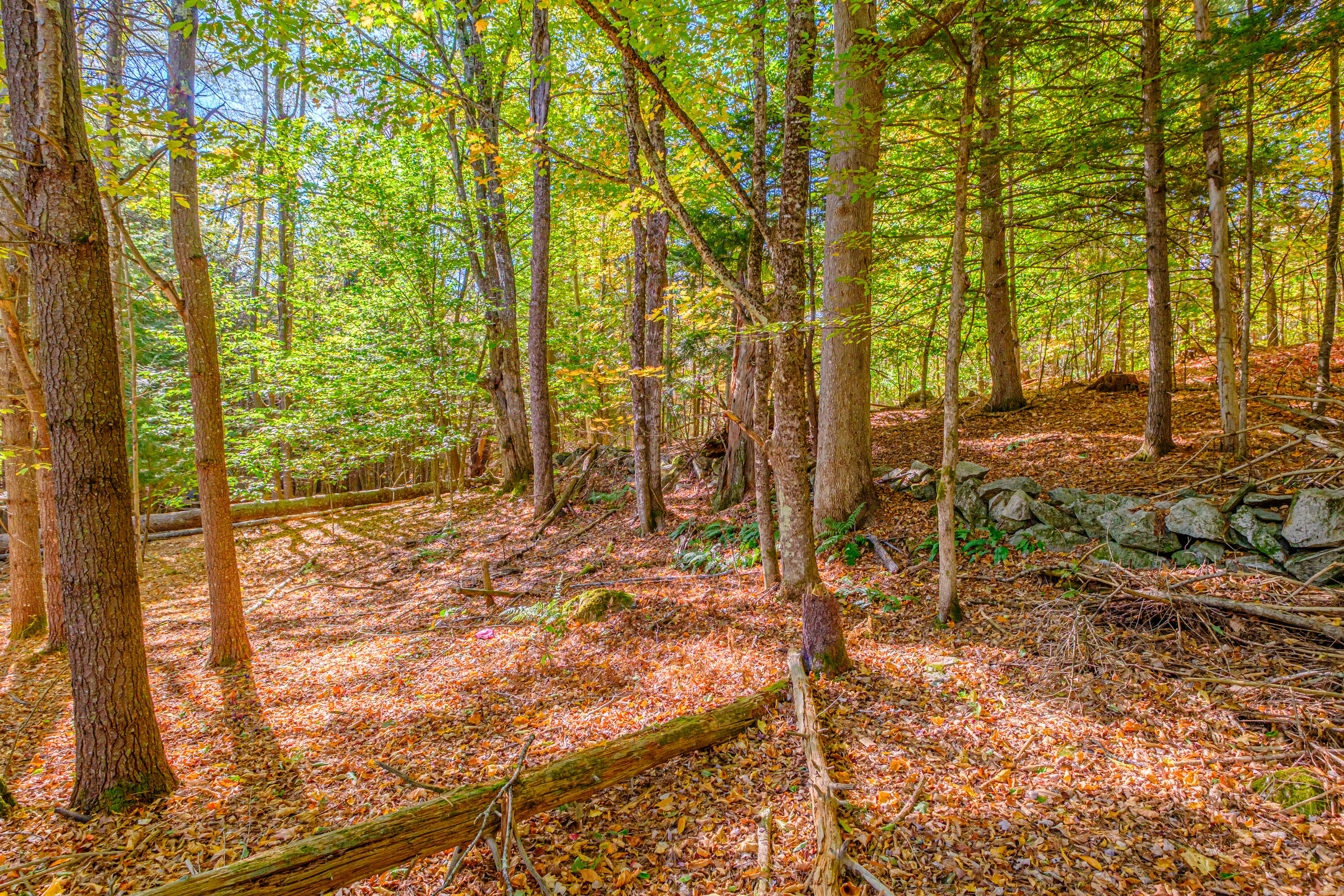206 Ralph Richardson Road Norway, ME 04268 - Photo 12 of 81 20251002gp-60033