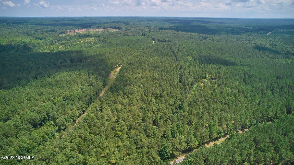 Lot 1 Underwood Road Carthage, NC 28327 - Photo 2 of 2 TBD Lot 1 c_2