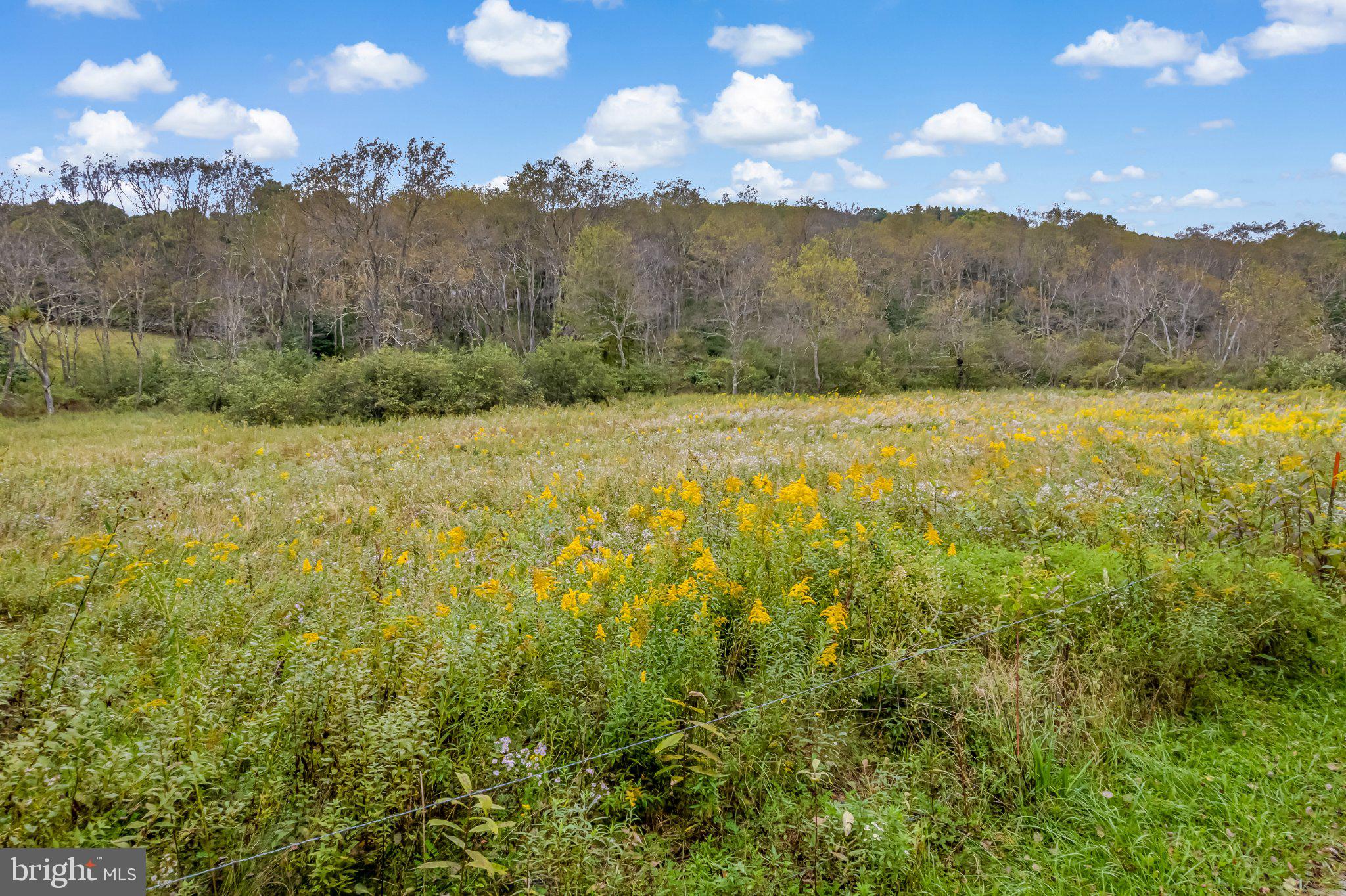 0 Calderwood Road Oakland, MD 21550 - Photo 24 of 38 Gallery Image 24