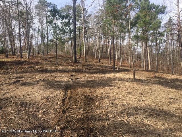 Lot 31 Edgewater Point Arley, AL 35541 - Photo 4 of 5 Gallery Image 4