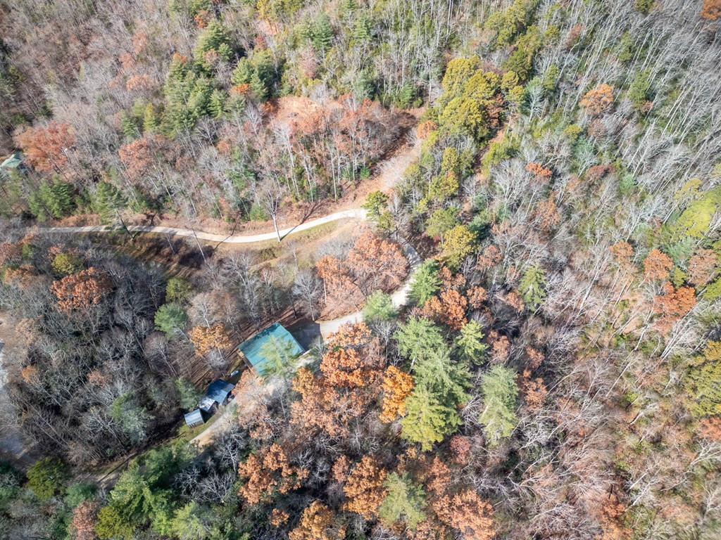 212 Pendergrass Road Marble, NC 28905 - Photo 36 of 38
