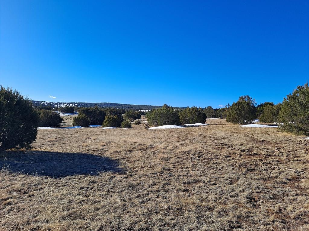 Tbd Rowell Road Walsenburg, CO 81089 - Photo 5 of 12 Gallery Image 5