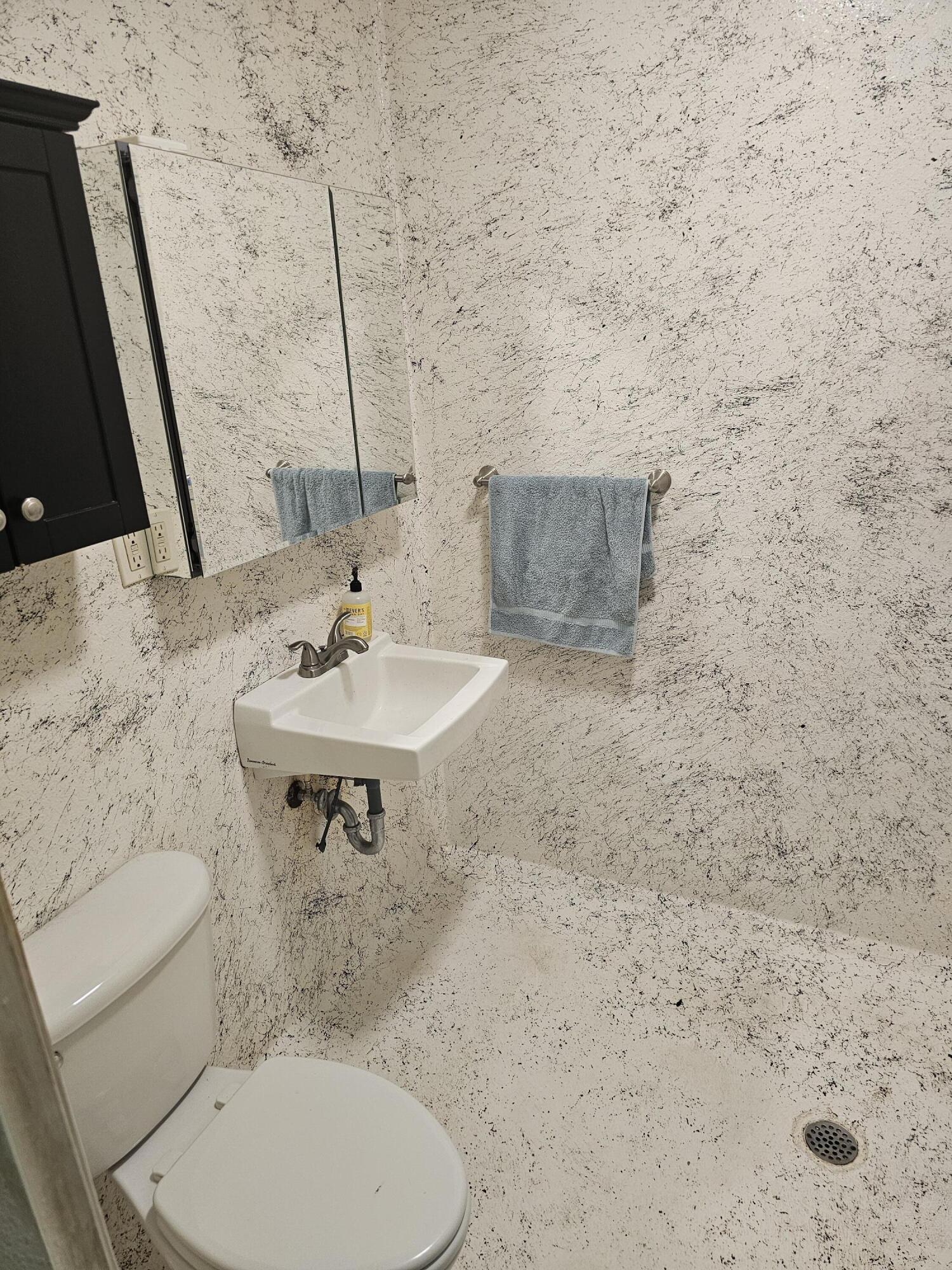 400 7 Oaks Road DeFuniak Springs, FL 32433 - Photo 8 of 17 a bathroom with a sink a toilet and mirror