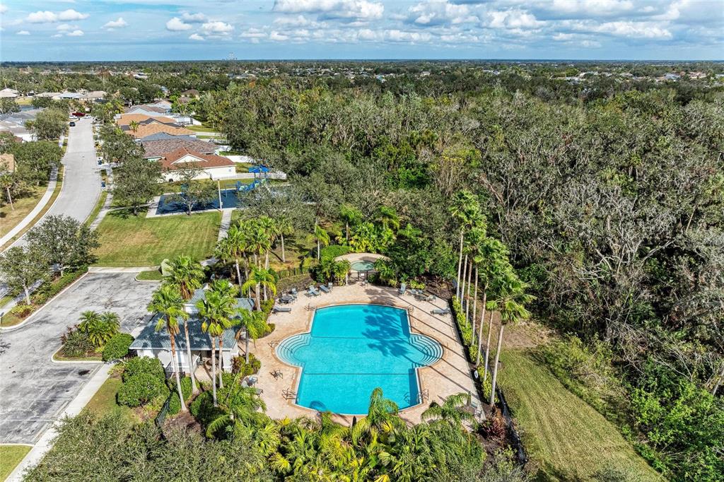 4608 Oliver Manor Drive Parrish, FL 34219 - Photo 39 of 45