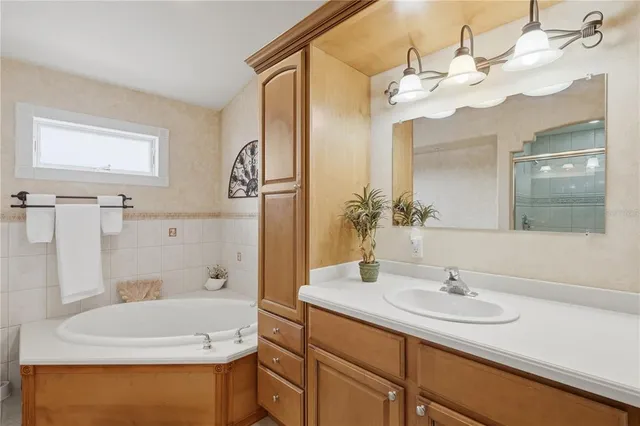 a bathroom with a sink a large mirror and a bathtub