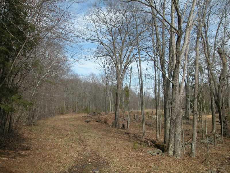 37 Linscott Road York, ME 03909 - Photo 31 of 31 Yard/Garden.