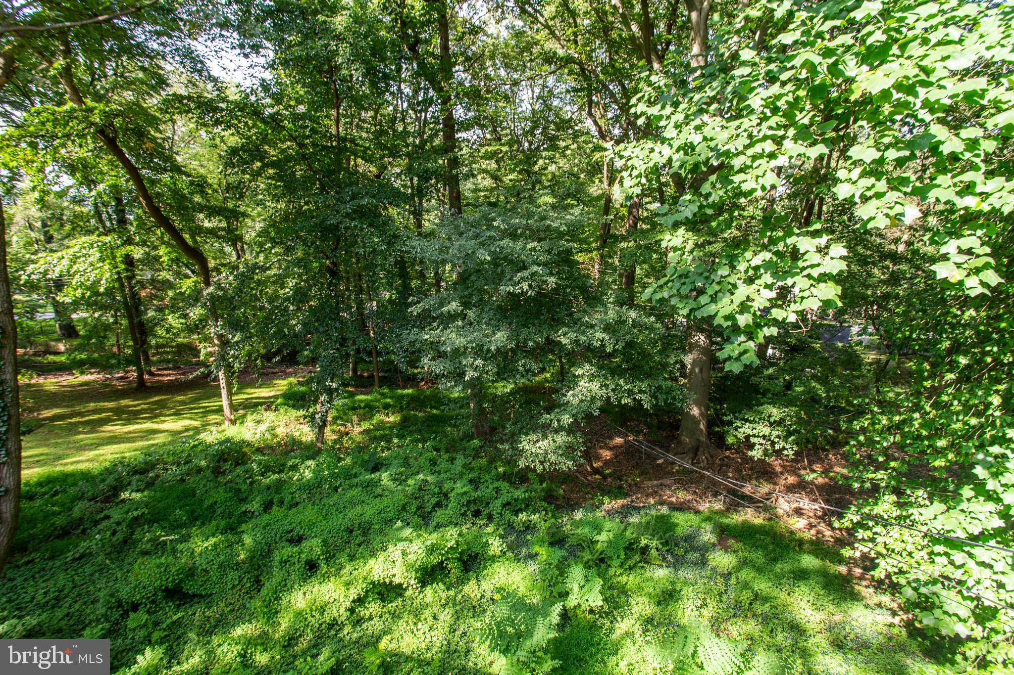 635 Forest Road Wayne, PA 19087 - Photo 32 of 34