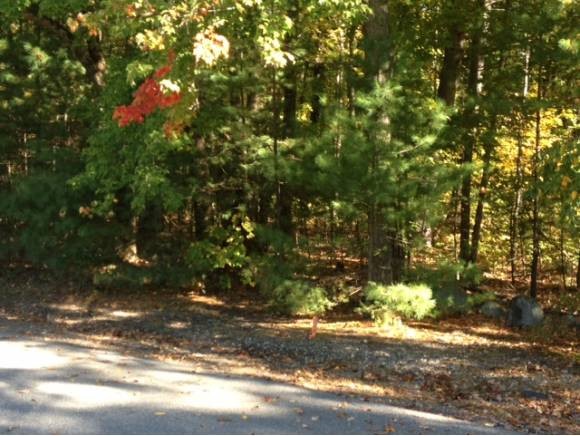7 Woodside Way Atkinson, NH 03811 - Photo 1 of 1