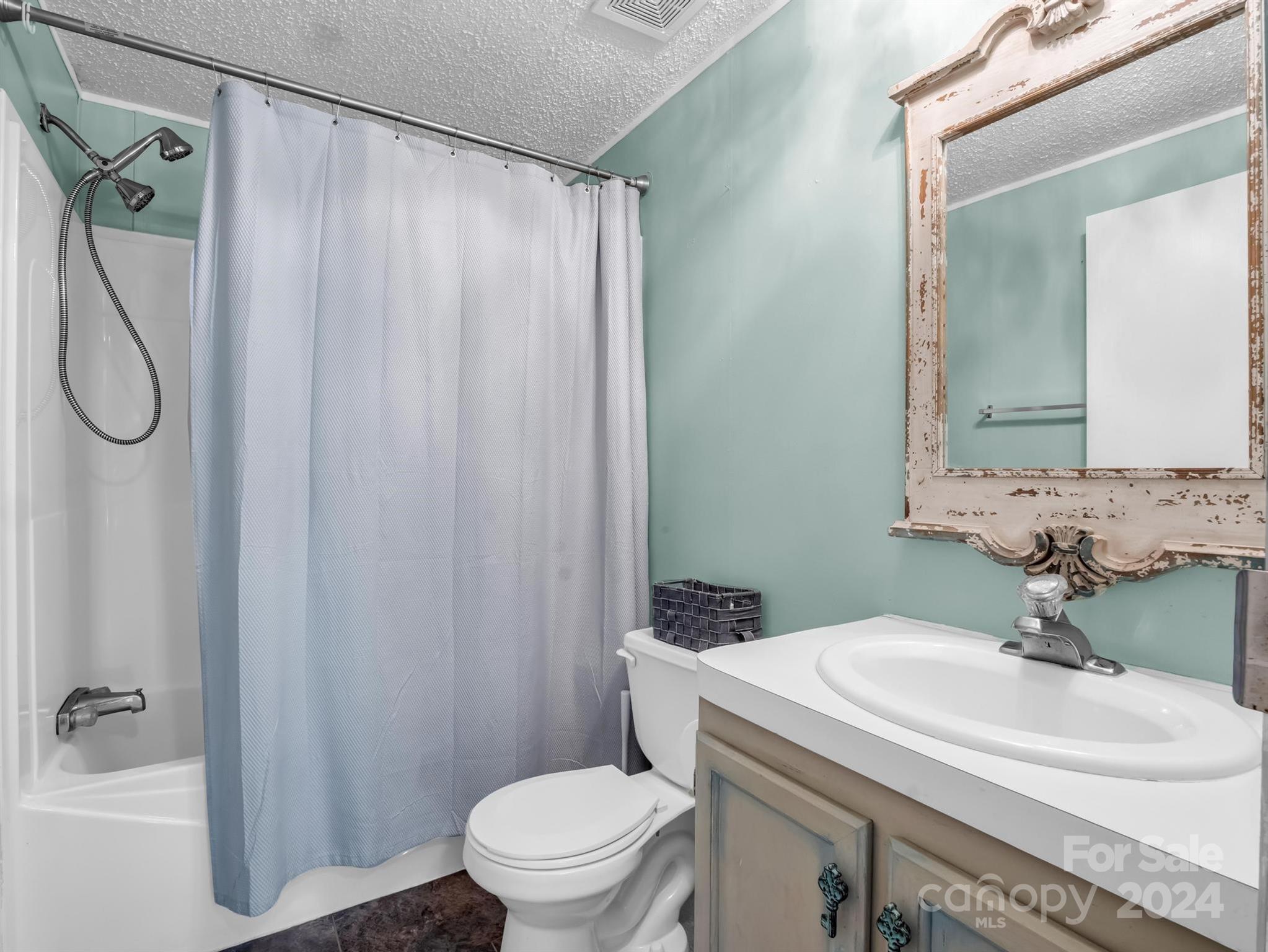 293 Bane Road Mills River, NC 28759 - Photo 26 of 48 a bathroom with a sink a toilet and shower