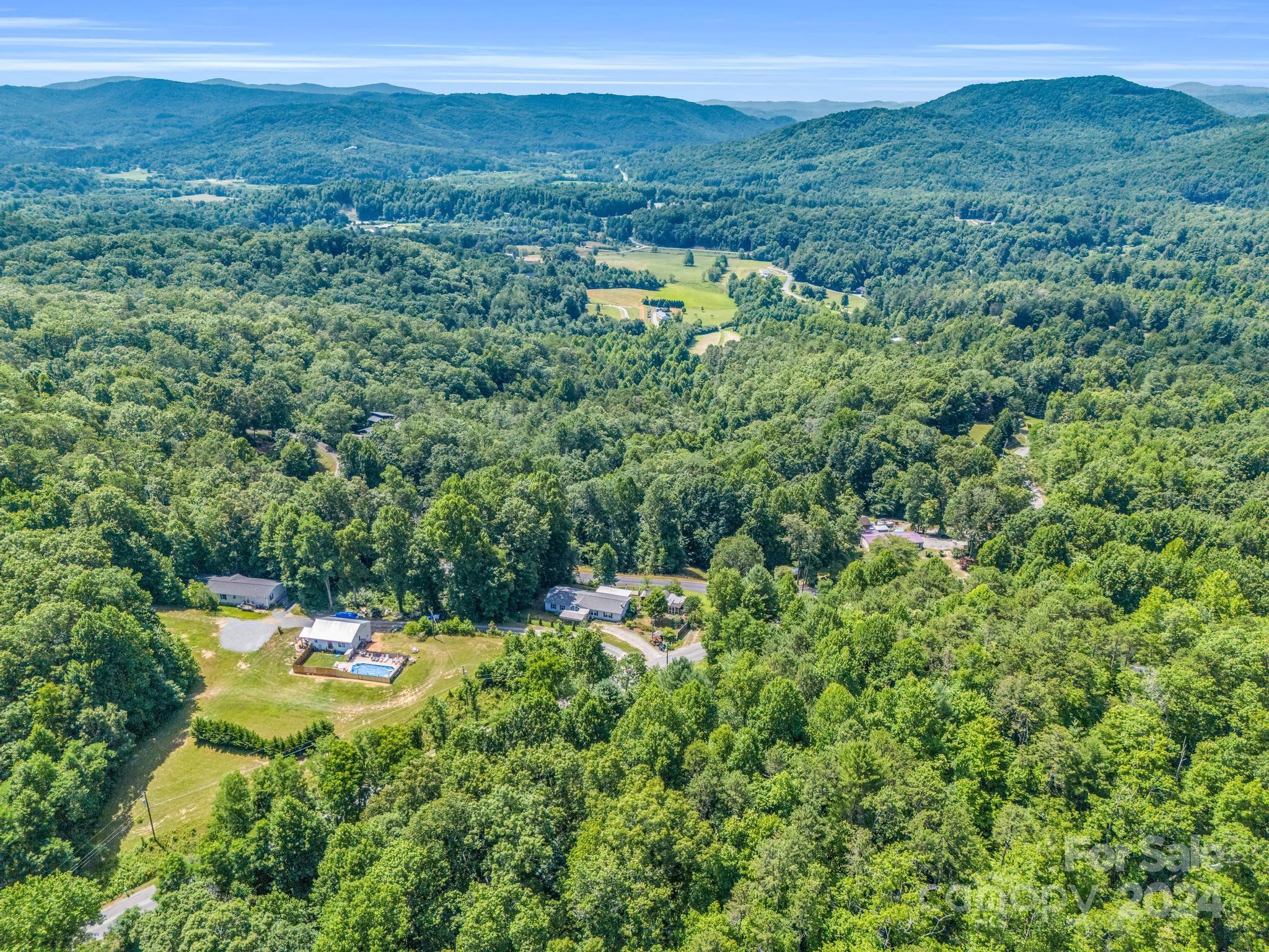 293 Bane Road Mills River, NC 28759 - Photo 46 of 48 a view of a lush green forest with trees and some houses