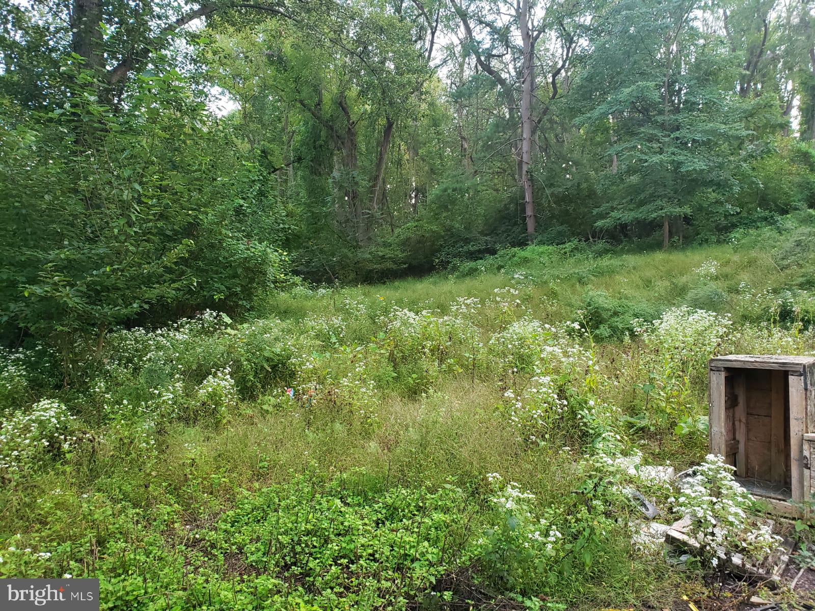494 Parkview Road Reading, PA 19606 - Photo 14 of 17 Gallery Image 14