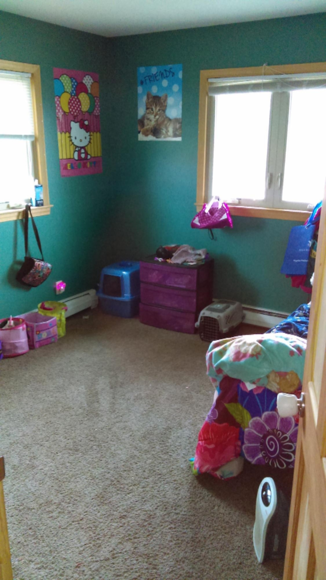 10273 7 Mile Road Evart, MI 49631 - Photo 17 of 22 IMAG0563