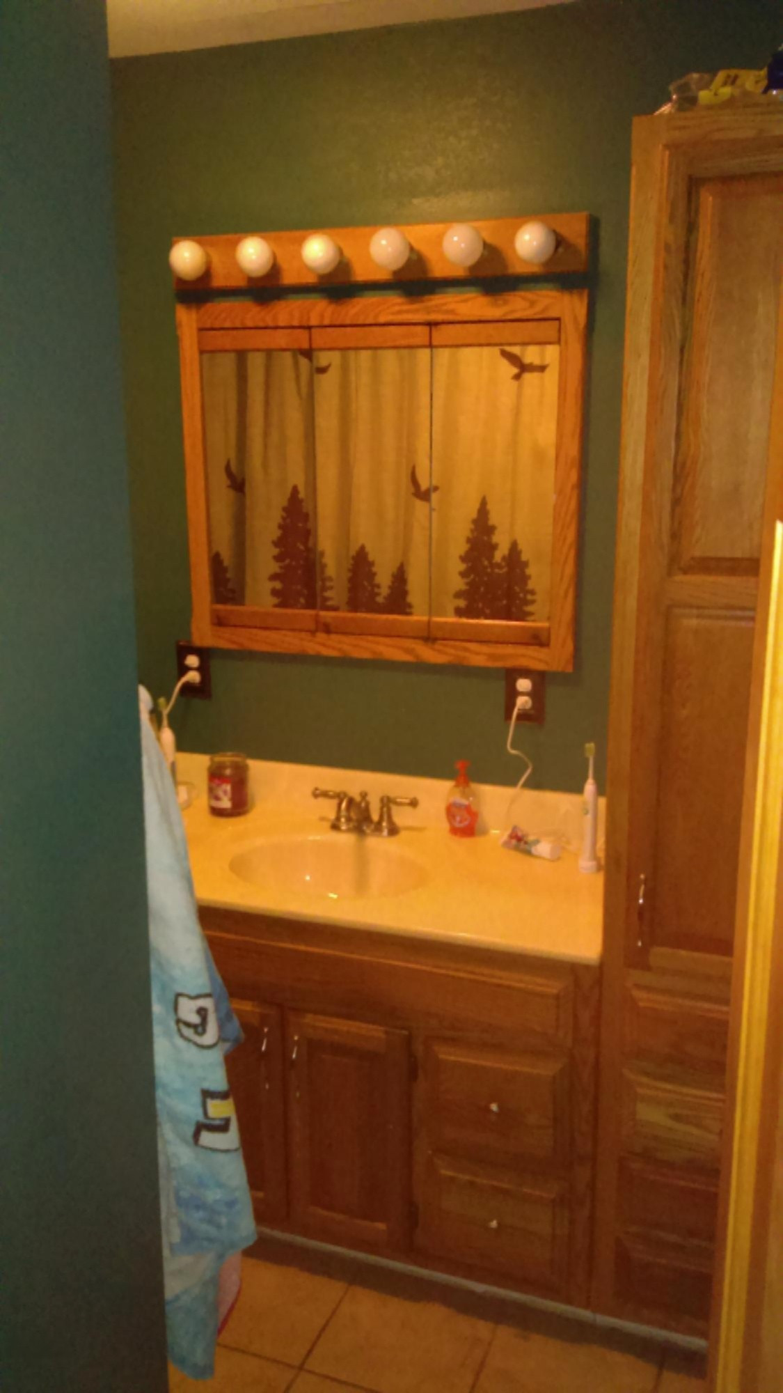 10273 7 Mile Road Evart, MI 49631 - Photo 18 of 22 IMAG0564