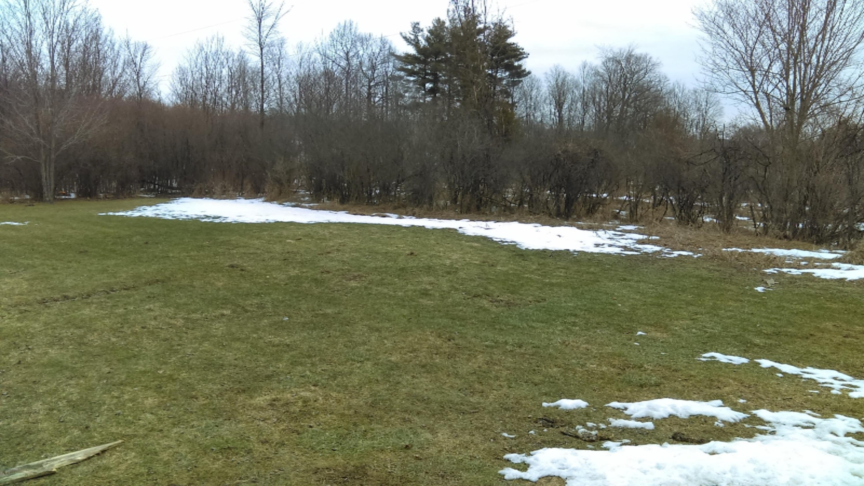10273 7 Mile Road Evart, MI 49631 - Photo 3 of 22 IMAG0549