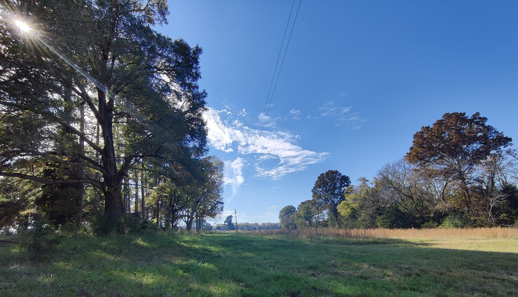 6266 Old Calhoun Falls Road Calhoun Falls, SC 29628 - Photo 32 of 33 Gallery Image 32