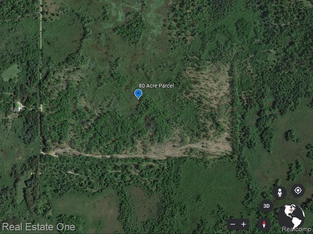0 South Morrison Road West Branch, MI 48661 - Photo 2 of 38