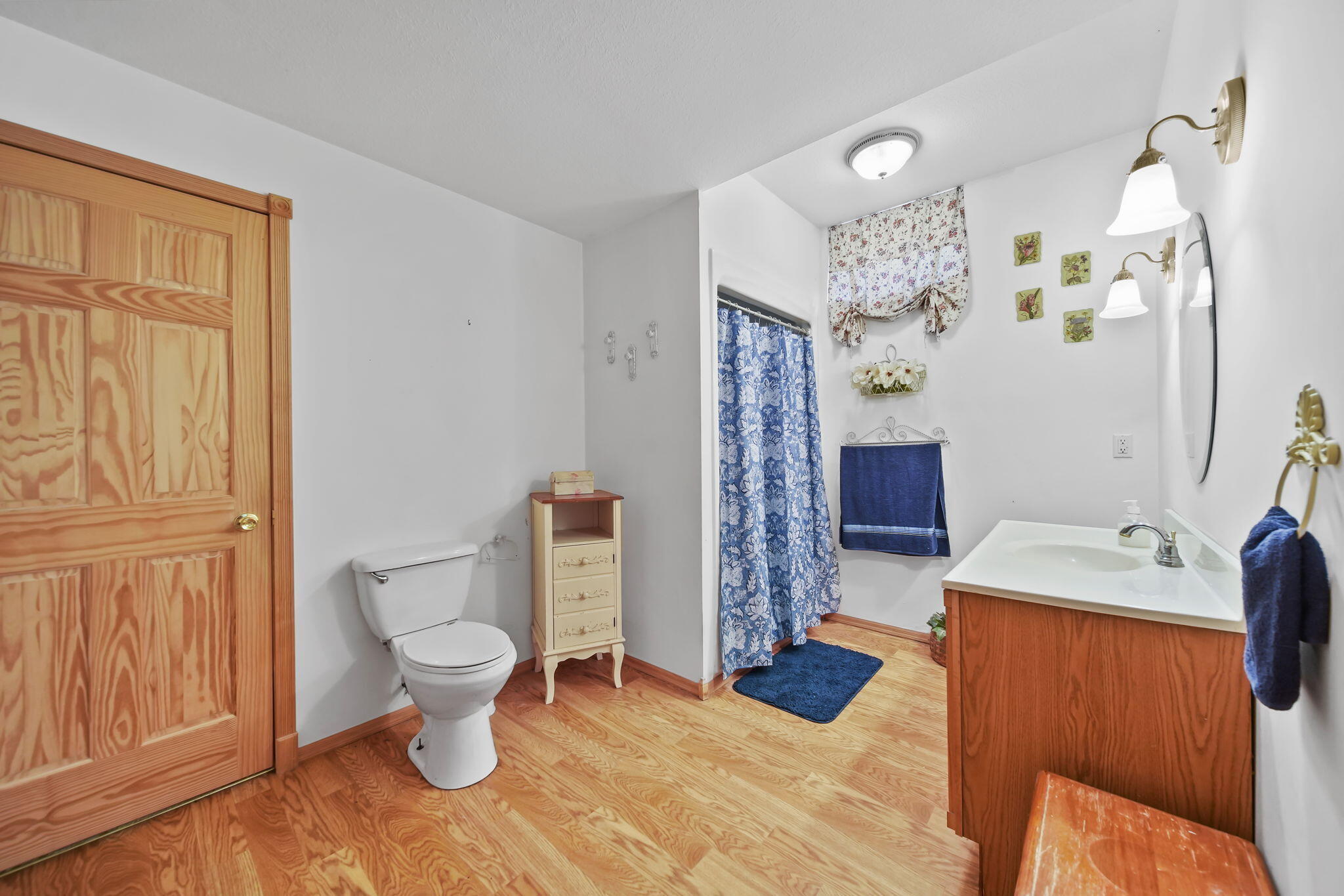 10525 Antcliff Road Brooklyn, MI 49230 - Photo 46 of 76 43-web-or-mls-DSC03716