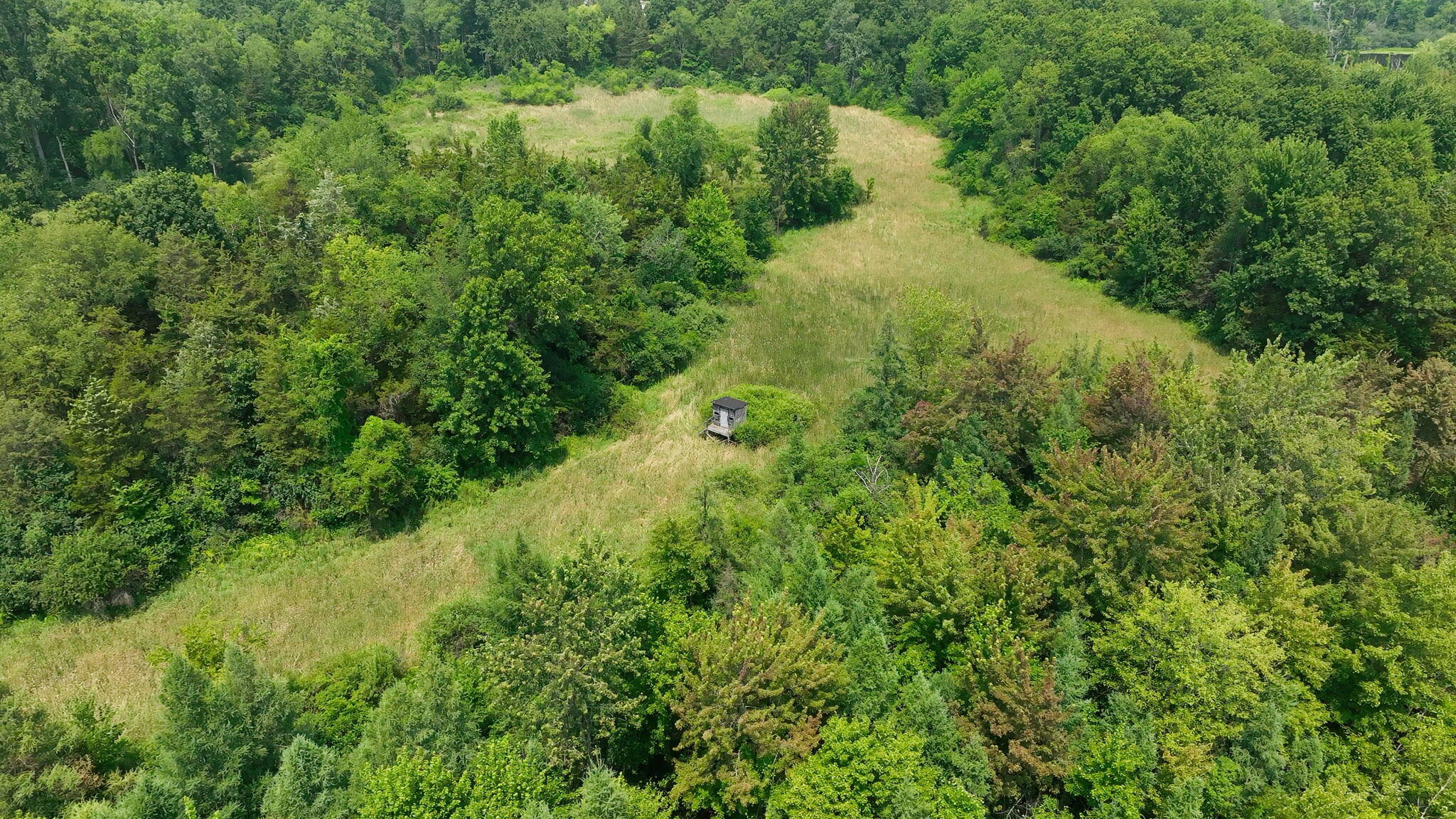 10525 Antcliff Road Brooklyn, MI 49230 - Photo 64 of 76 14-web-or-mls-11