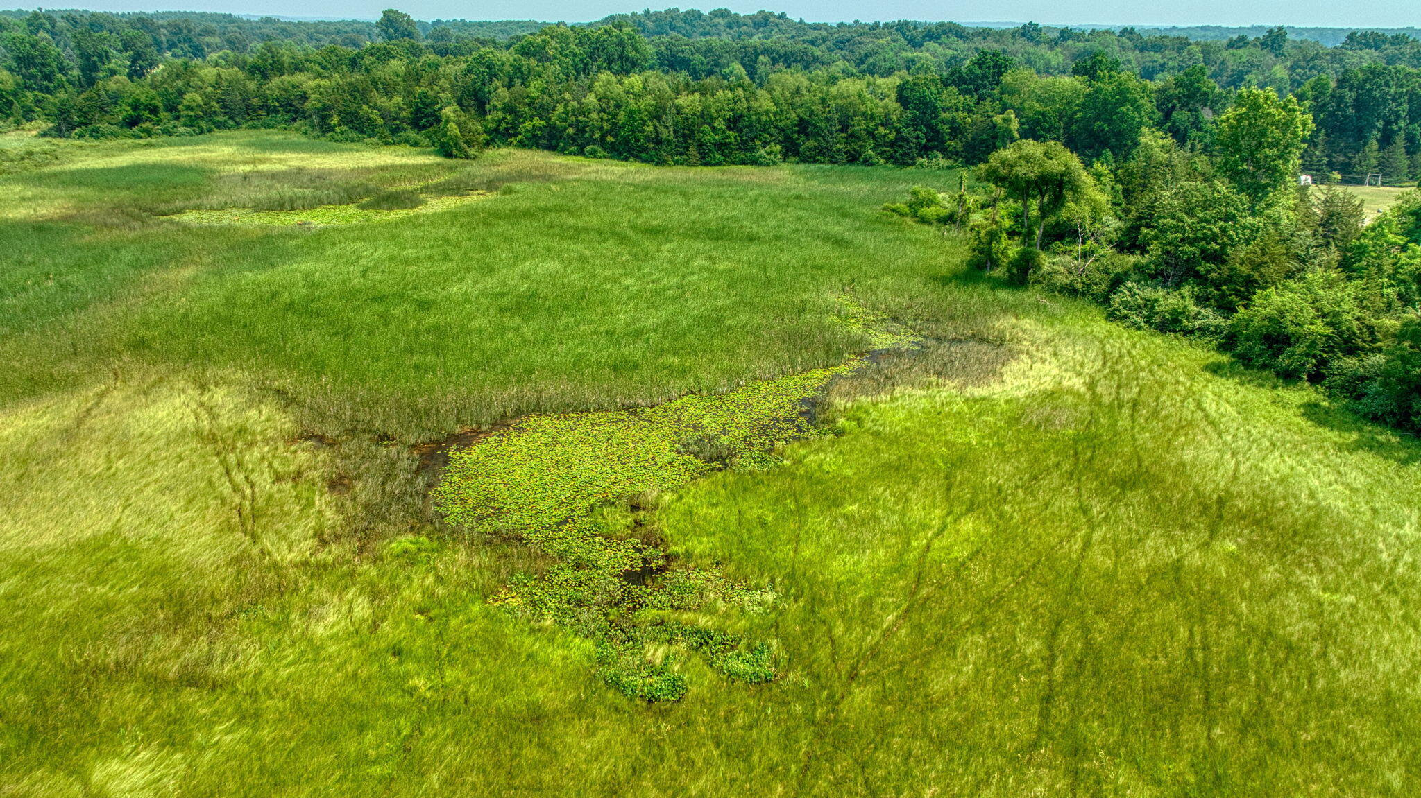 10525 Antcliff Road Brooklyn, MI 49230 - Photo 73 of 76 28-web-or-mls-DJI_0358_HDR