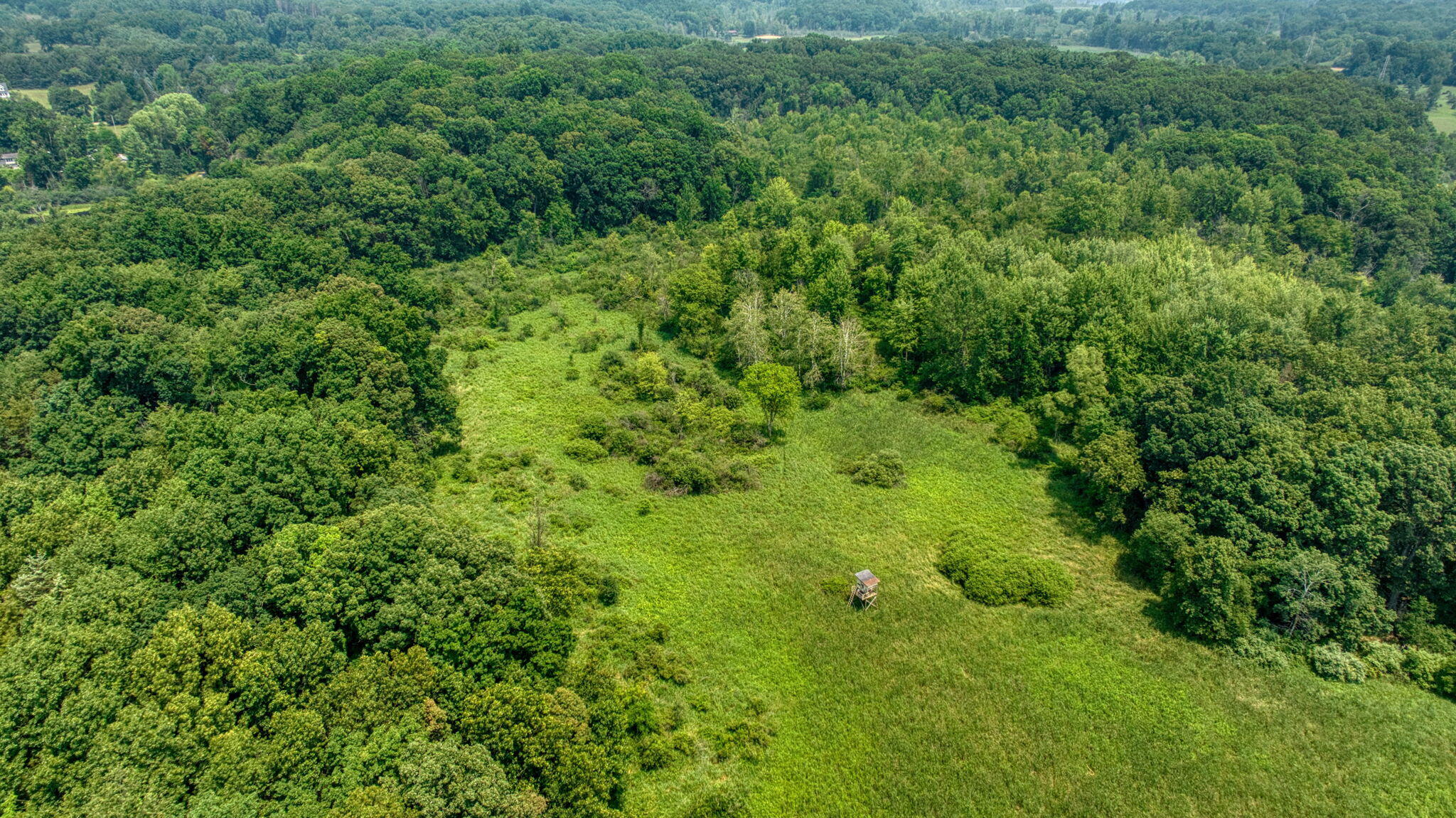 10525 Antcliff Road Brooklyn, MI 49230 - Photo 74 of 76 29-web-or-mls-DJI_0365_HDR