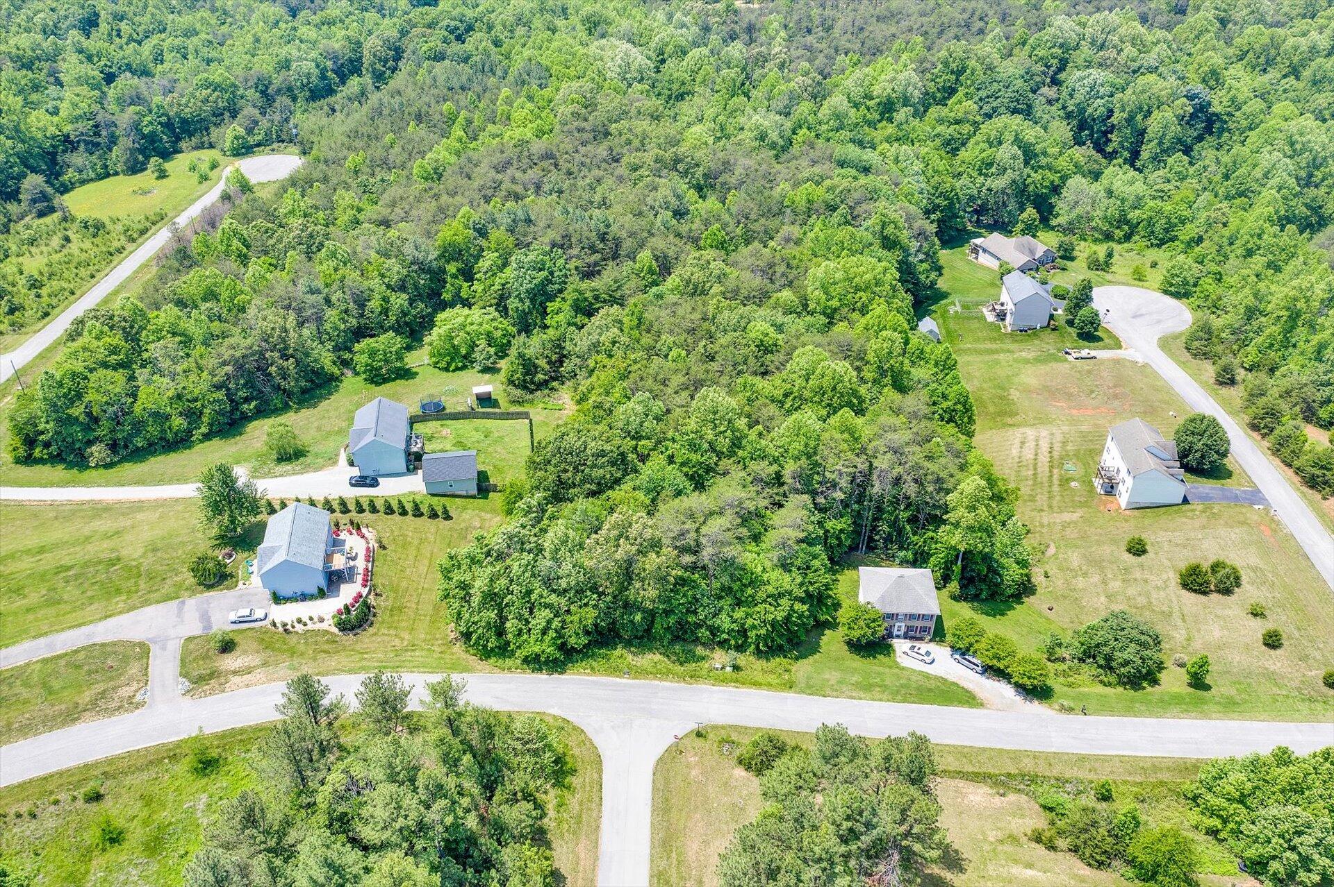 Lot 54 Dillon Cabin Road Moneta, VA 24121 - Photo 3 of 3 Montgomery Farms (5)