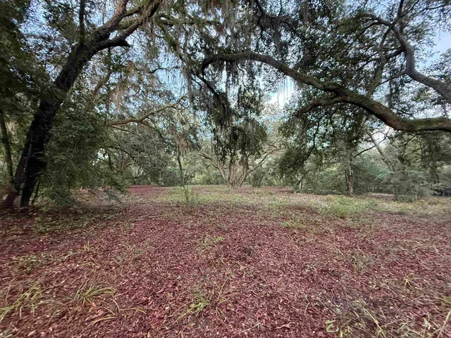 a view of a yard with a tree