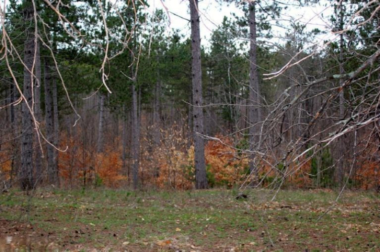 20331 13 Mile Road Copemish, MI 49625 - Photo 19 of 21 Additional Photo