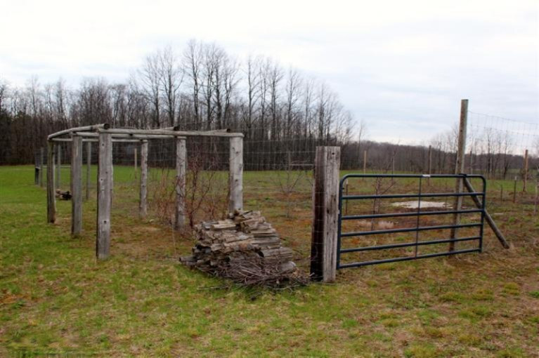 20331 13 Mile Road Copemish, MI 49625 - Photo 20 of 21 Additional Photo
