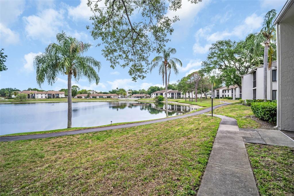 2523 Pine Ridge Way South, Unit C2 Palm Harbor, FL 34684 - Photo 2 of 29