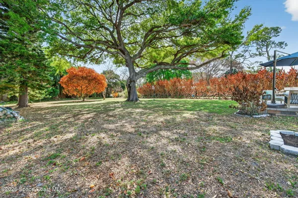 a view of a tree in front of a white house