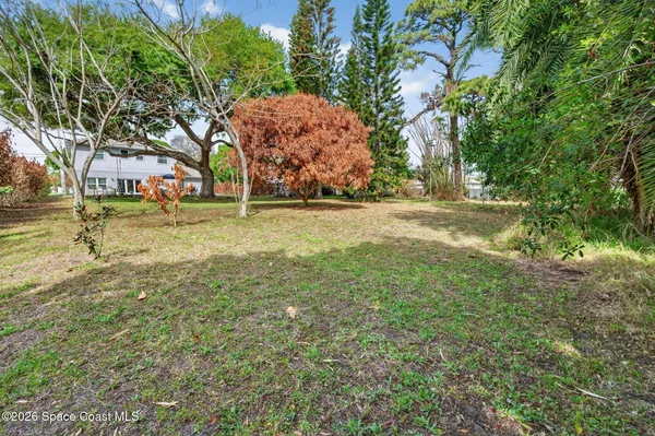a view of a yard with plants and trees