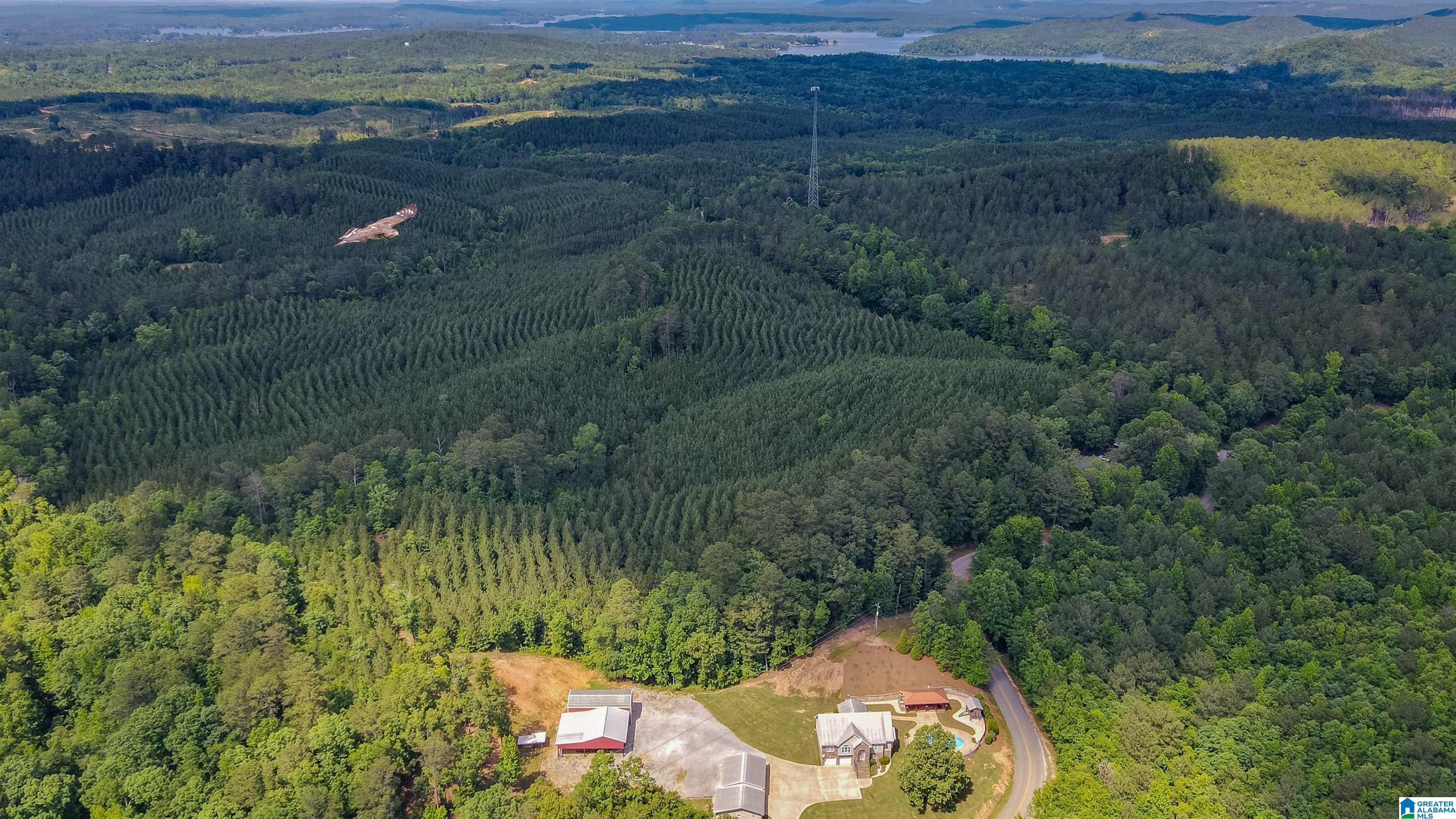 575 Joe White Road Shelby, AL 35143 - Photo 74 of 83