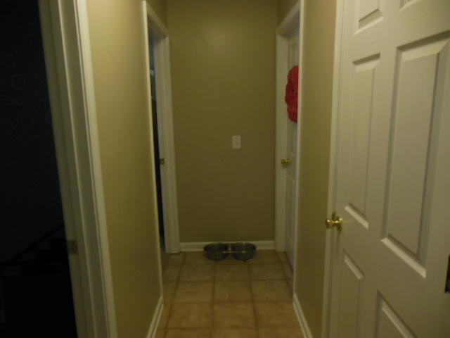 2252 Mt Vernon Road Ringgold, GA 30736 - Photo 20 of 28 Hallway to bedrooms in Basement
