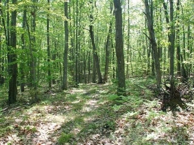 5691 Oak Ridge Drive Gladwin, MI 48624 - Photo 31 of 74