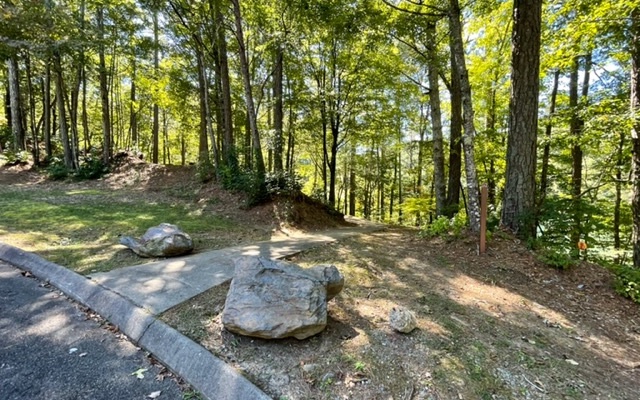 1529 Hap Holt Road Ellijay, GA 30540 - Photo 24 of 26 Additional View
