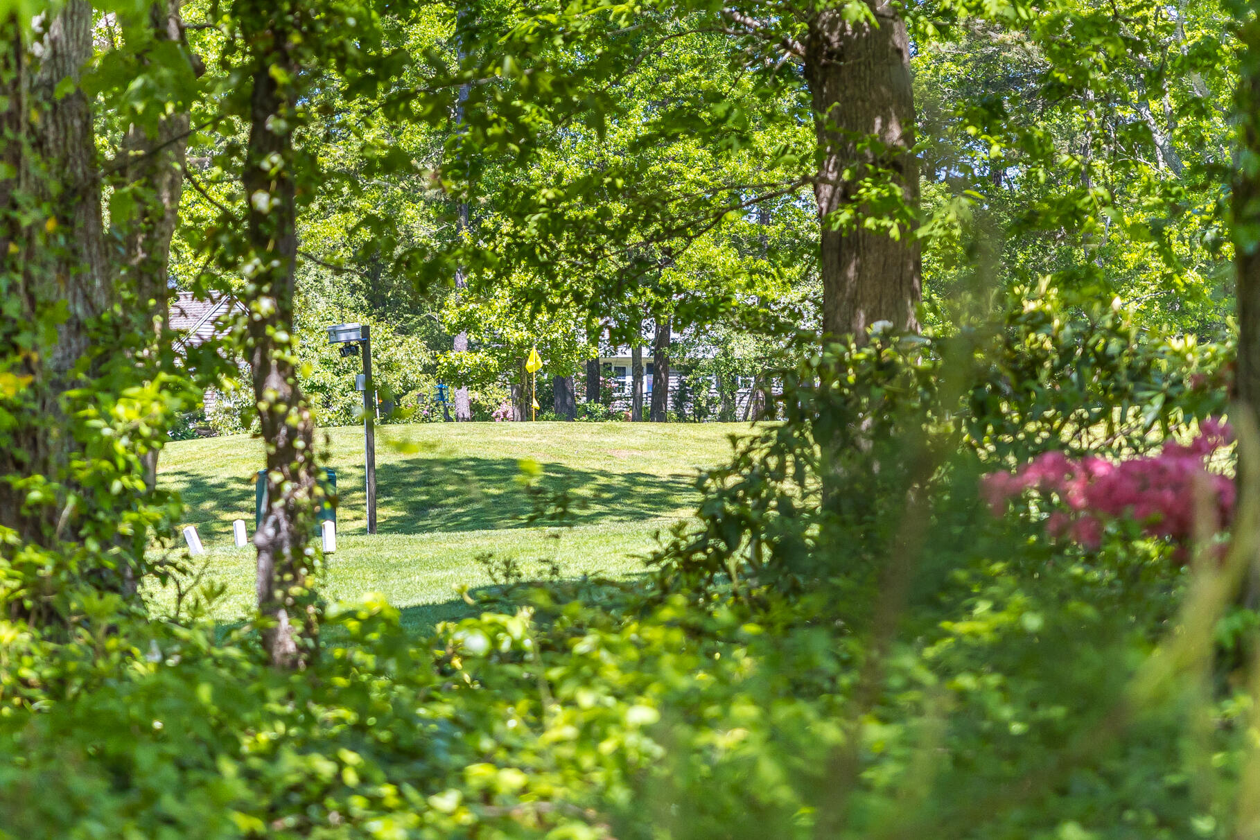 225 Midpine Road Yarmouth Port, MA 02675 - Photo 47 of 72 9L4A4590