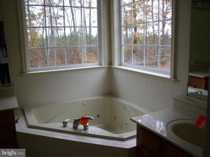 31859 Indiantown Road Locust Grove, VA 22508 - Photo 22 of 24 Master Bath