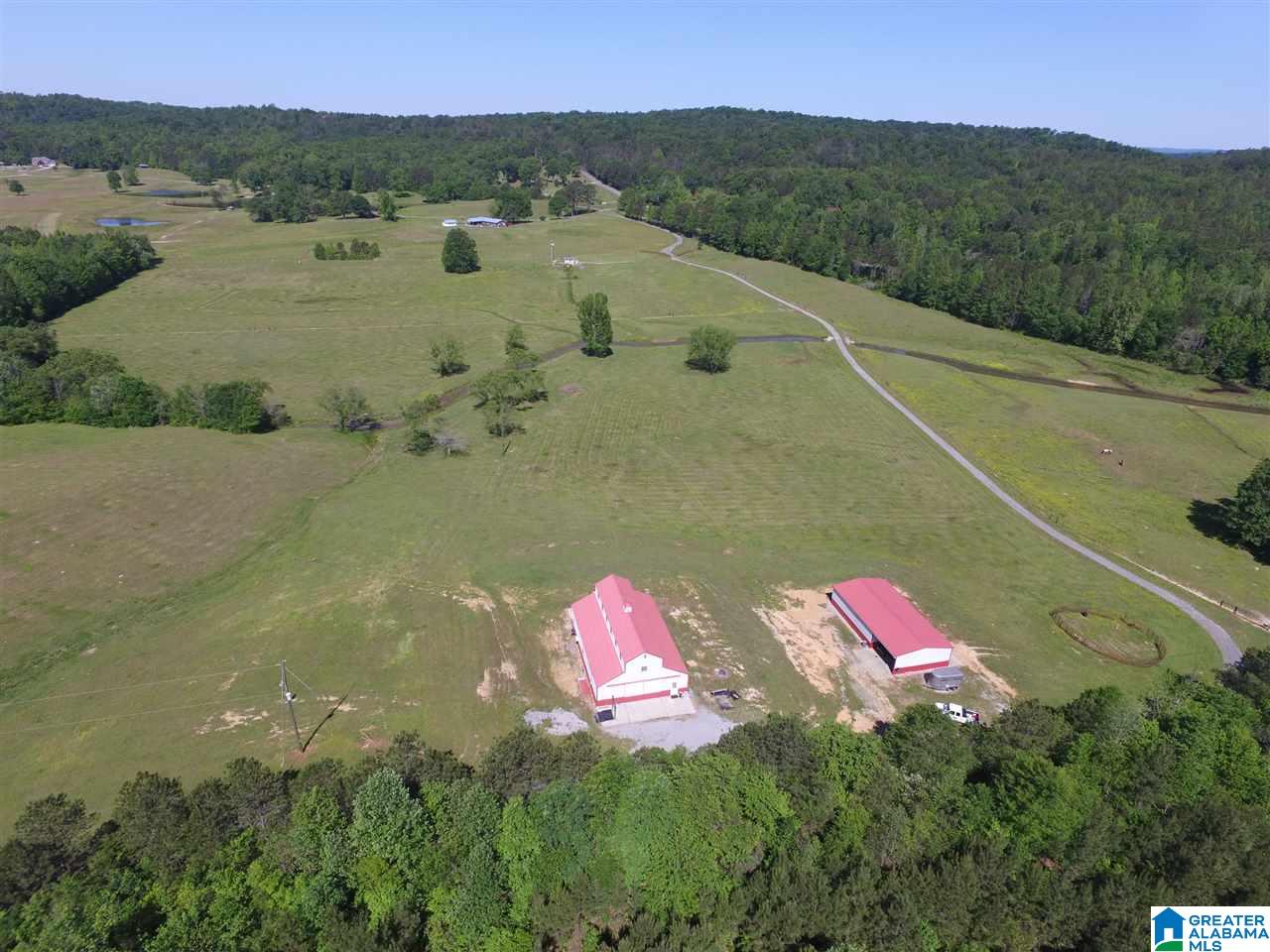 0 Pleasant Hills Road, Unit 40 Odenville, AL 35120 - Photo 39 of 48