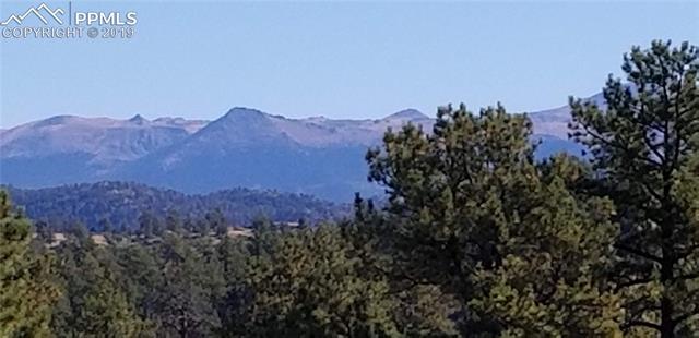 138 Pike View Road Florissant, CO 80816 - Photo 4 of 28