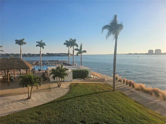 a view of a lake with a palm tree next to a road