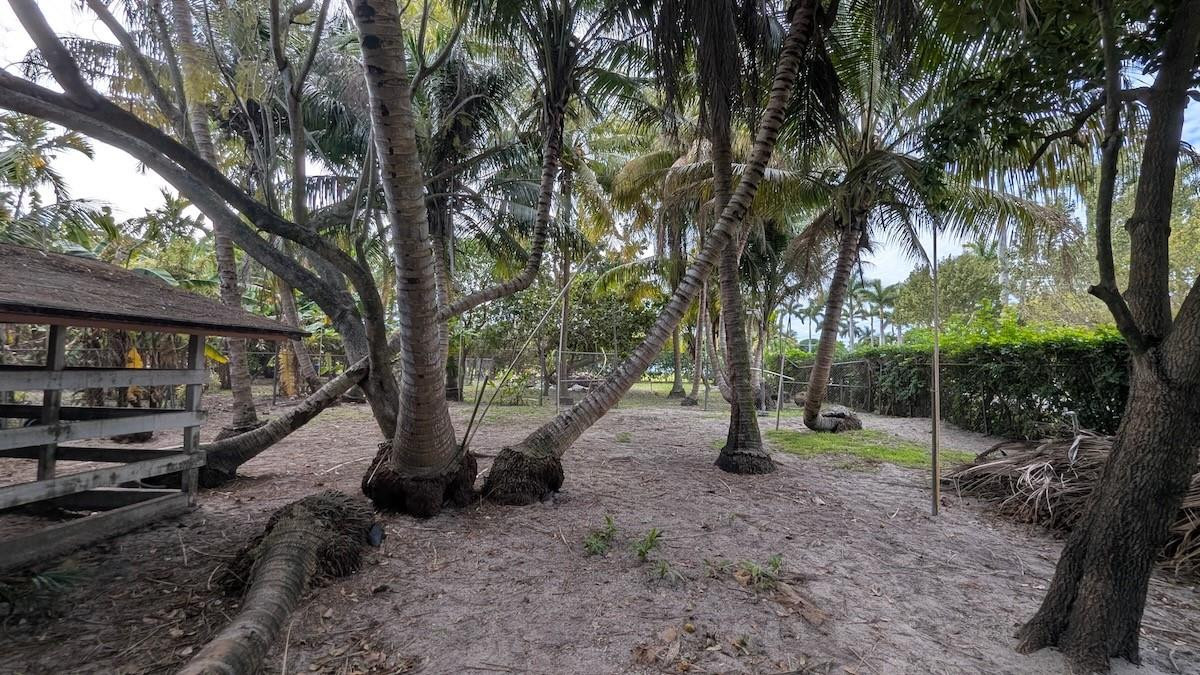 12200 Southwest 51st Street Miami, FL 33175 - Photo 50 of 53 Photo 50