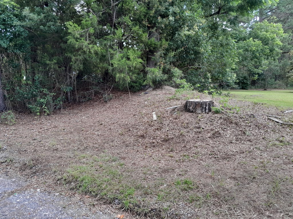 0 East Macs Landing Road, Unit TRACT C Pineville, SC 29468 - Photo 2 of 4 Photo 2