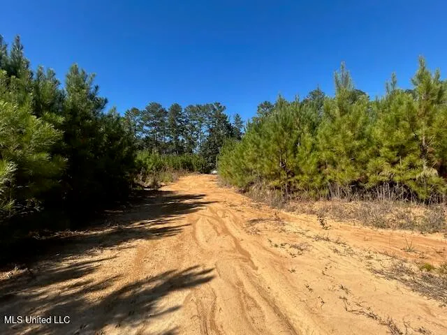 $299,500 | 0 County Line Road, Summit, MS 39666
