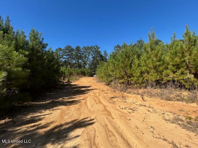 0 County Line Road Summit, MS 39666 - Photo 2 of 11 IMG_1720 (1)