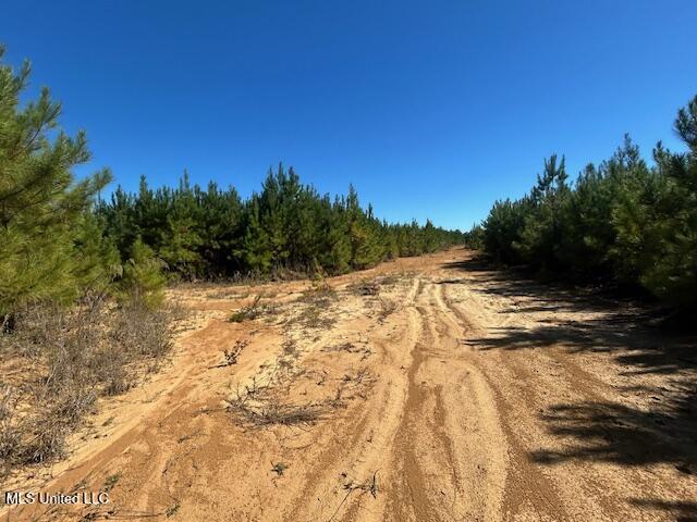 0 County Line Road Summit, MS 39666 - Photo 5 of 11 IMG_1715 (1)
