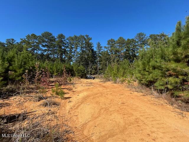 0 County Line Road Summit, MS 39666 - Photo 7 of 11 IMG_1713 (1)