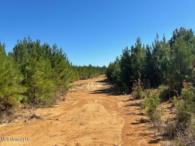 0 County Line Road Summit, MS 39666 - Photo 8 of 11 IMG_1712 (1)