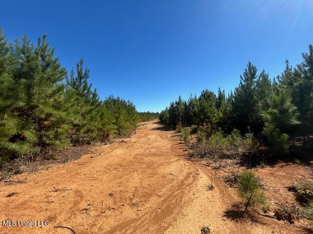 0 County Line Road Summit, MS 39666 - Photo 9 of 11 IMG_1711 (1)