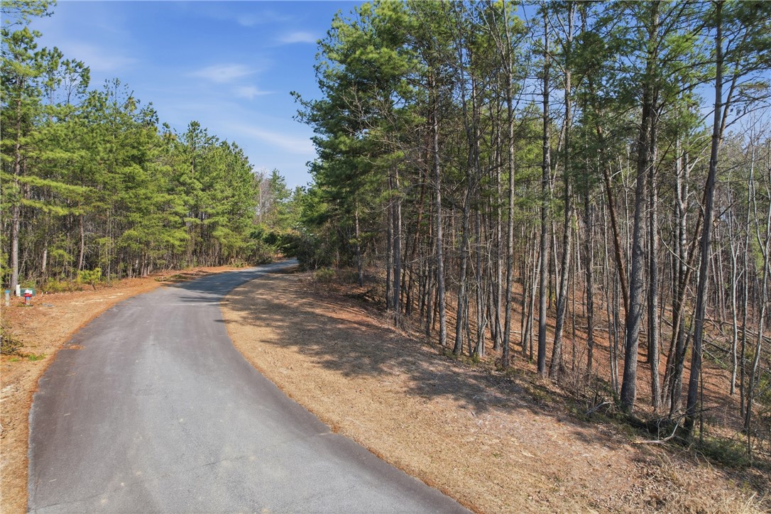 S-28 Tamassee Ridge Way Salem, SC 29676 - Photo 4 of 21
