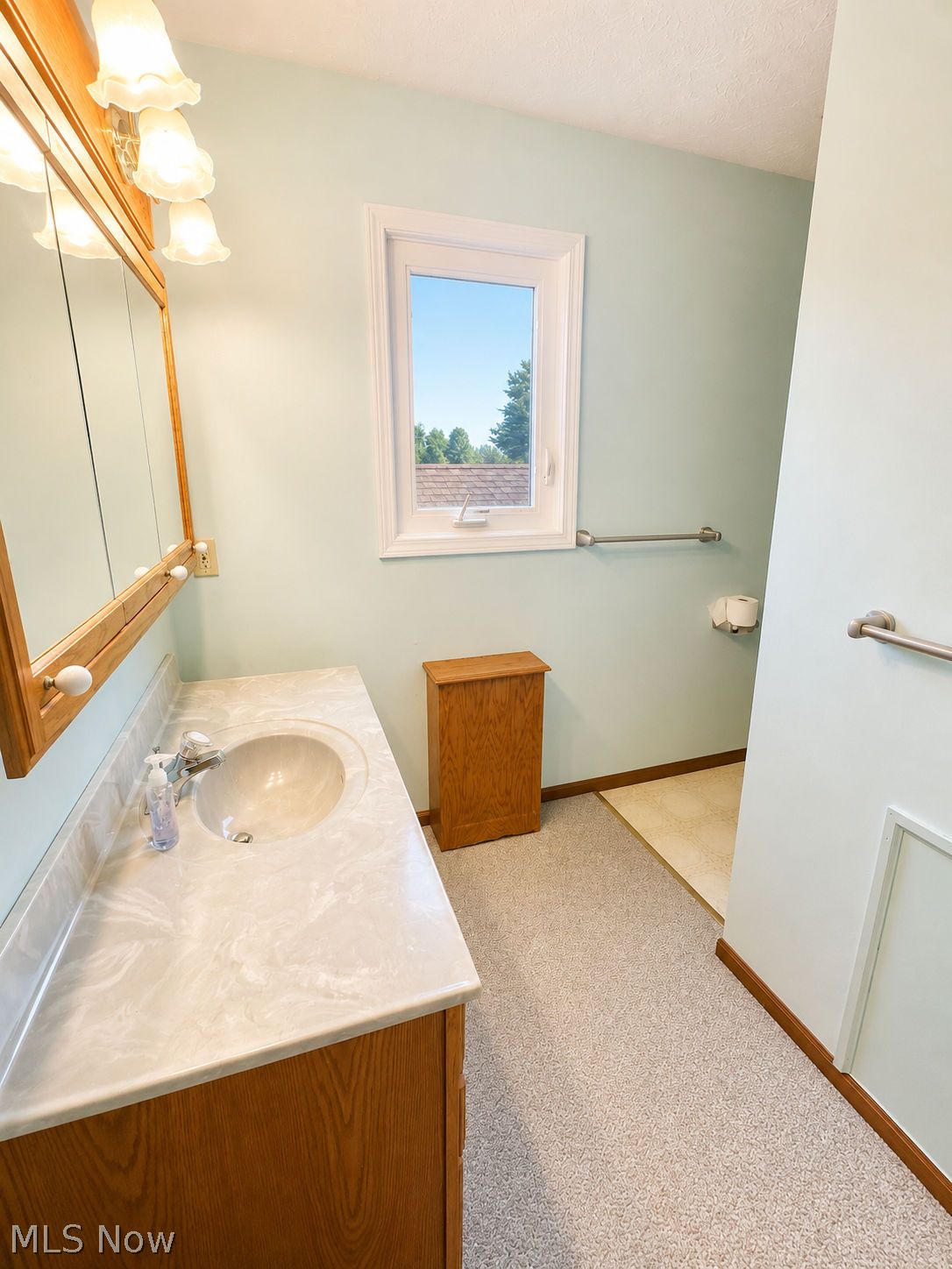 9217 Bechtel Road Elyria, OH 44035 - Photo 19 of 34 Gallery Image 19